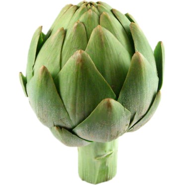 artichoke_1339768899