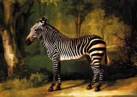 dfaeb89e4f846d7fbefb19fcffd86153