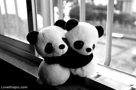 1d172d6665adfda6d457c19a639ec56c